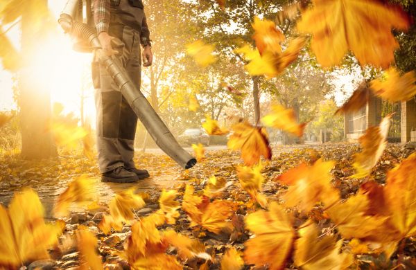 Leaf Blowing Service in Zionsville