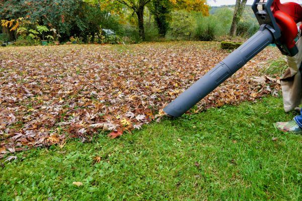 Leaf Vacuuming Service in Zionsville