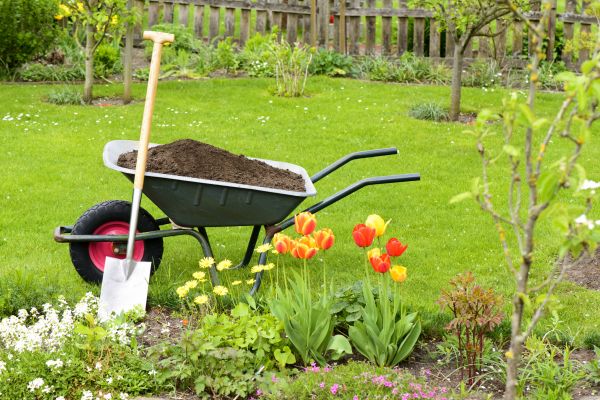 Spring Yard Cleanup in Zionsville