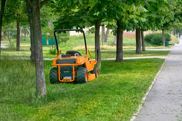 Landscaping Cleanup Service in Zionsville