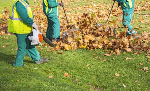 Leaf Maintenance in Zionsville