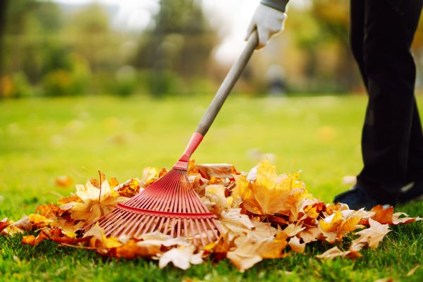 Ditch Leaf Removal in Zionsville