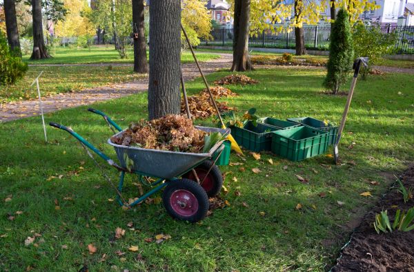 Leaf Clearing Service in Zionsville