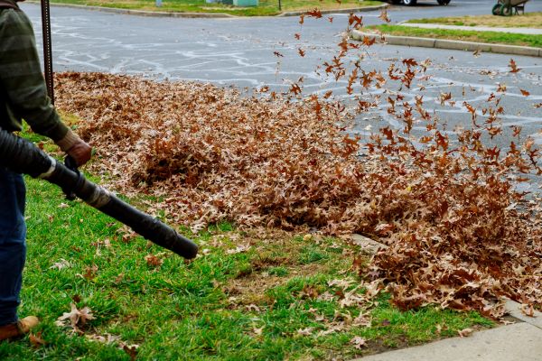 Garden Leaf Removal in Zionsville