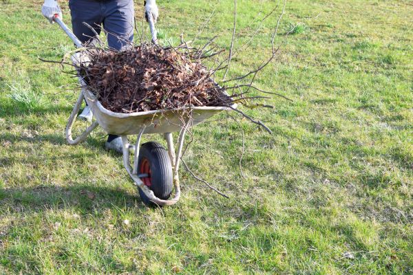 Yard Brush Removal in Zionsville