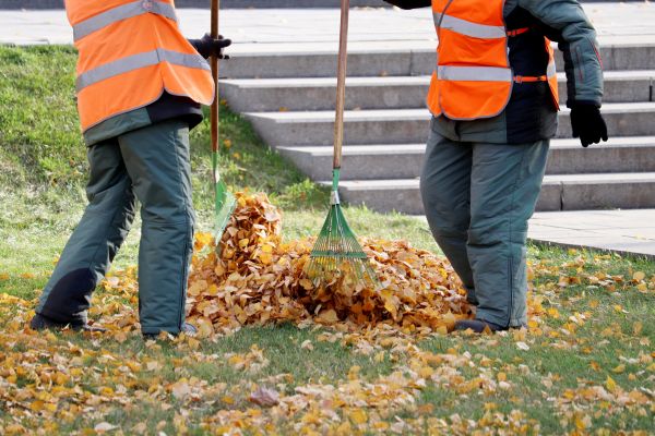 Leaf Hauling Service in Zionsville