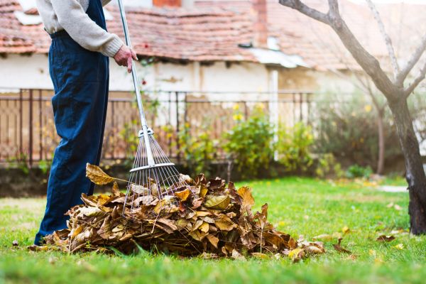 Spring Lawn Cleanup in Zionsville