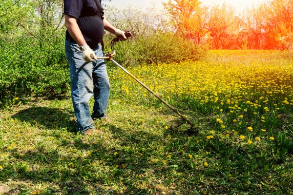 Yard Clearing Service in Zionsville