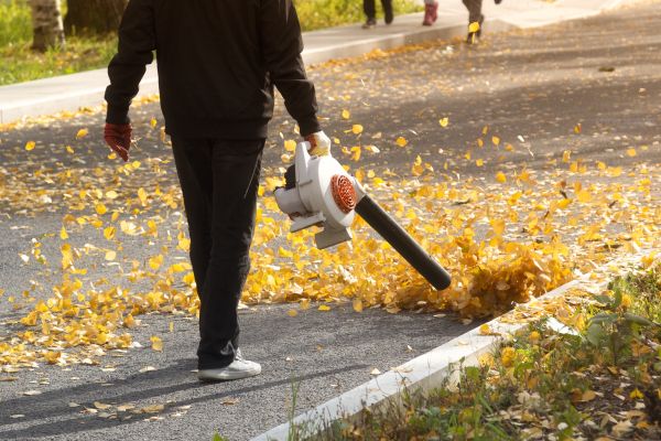 Commercial Leaf Removal in Zionsville