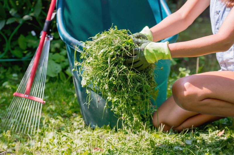 Garden and Yard Clean Up Experts