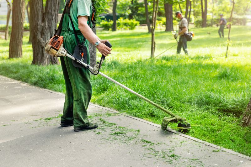Lawn Care Consultation